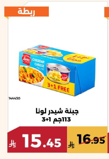 available at Forat Garden in KSA, Saudi Arabia, Saudi - Mecca