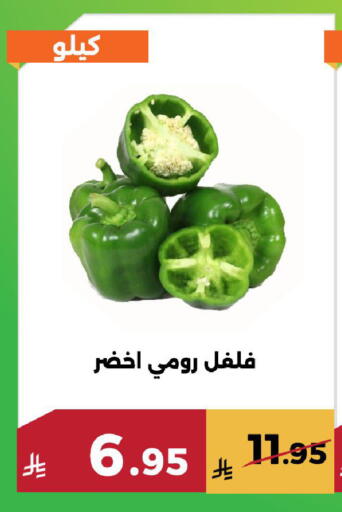 available at حدائق الفرات in مملكة العربية السعودية, السعودية, سعودية - مكة المكرمة