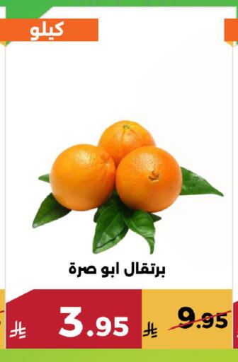 available at حدائق الفرات in مملكة العربية السعودية, السعودية, سعودية - مكة المكرمة