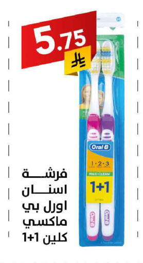 available at Ala Kaifak in KSA, Saudi Arabia, Saudi - Tabuk