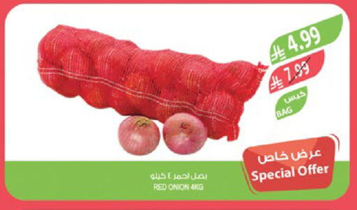 Onion available at المزرعة in مملكة العربية السعودية, السعودية, سعودية - حفر الباطن