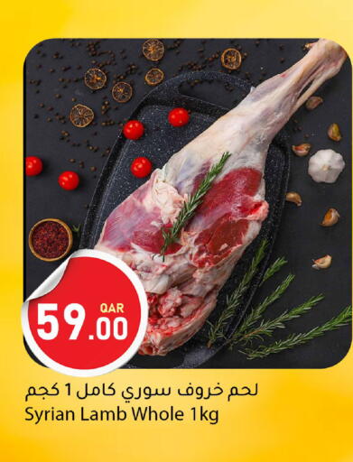 available at دانا ماركت in قطر - الدوحة