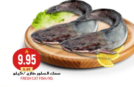 available at Grand Hyper in KSA, Saudi Arabia, Saudi - Riyadh