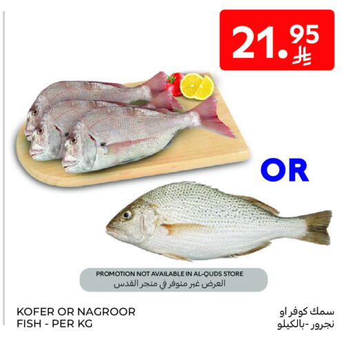 available at كارفور in مملكة العربية السعودية, السعودية, سعودية - بريدة