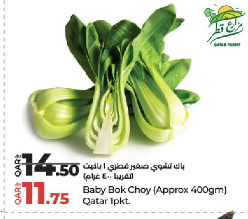 Bok Choy available at لولو هايبرماركت in قطر - الشمال