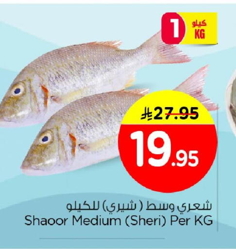 available at Nesto in KSA, Saudi Arabia, Saudi - Al Hasa