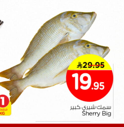 available at نستو in مملكة العربية السعودية, السعودية, سعودية - الخرج