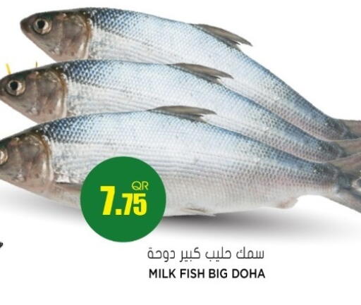 available at Grand Hypermarket in Qatar - Doha
