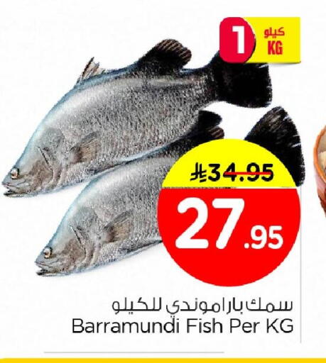 available at Nesto in KSA, Saudi Arabia, Saudi - Dammam