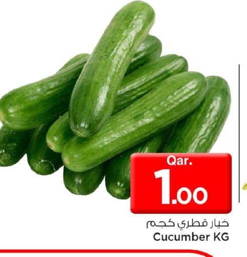 Cucumber available at مارك & سيف in قطر - الخور