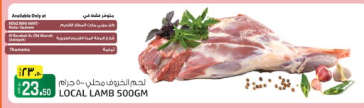 available at Kenz Mini Mart in Qatar - Umm Salal