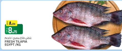 available at Saudia Hypermarket in Qatar - Al Wakra