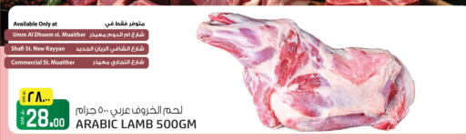 available at Saudia Hypermarket in Qatar - Al Khor