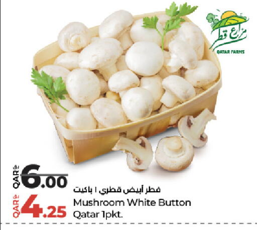 Mushroom from Qatar available at لولو هايبرماركت in قطر - الشمال