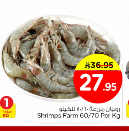 available at نستو in مملكة العربية السعودية, السعودية, سعودية - الخرج