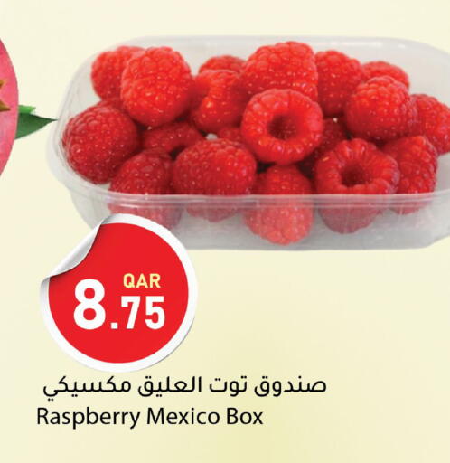 Raspberry from Mexico available at دانا ماركت in قطر - الوكرة