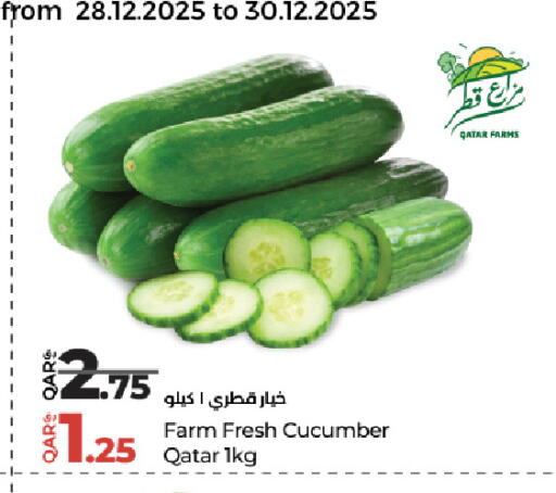 Cucumber from Qatar available at لولو هايبرماركت in قطر - الشمال