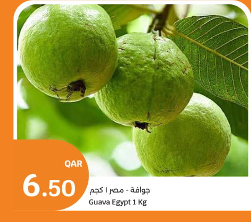 Guava from Egypt available at سيتي هايبرماركت in قطر - الشمال