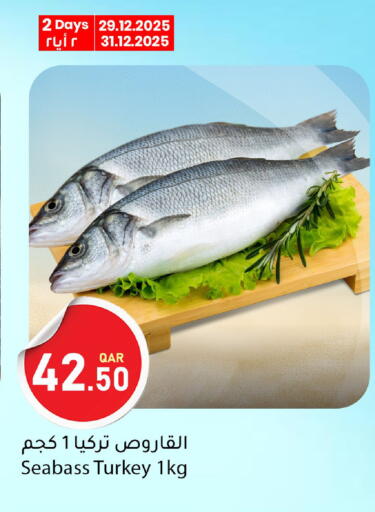 available at دانا ماركت in قطر - الوكرة