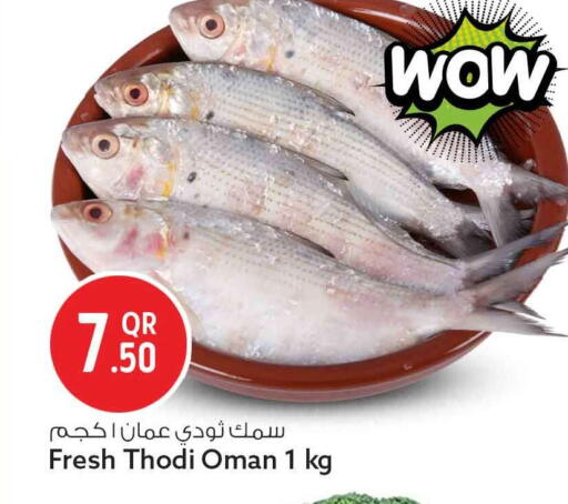 available at سفاري هايبر ماركت in قطر - الدوحة
