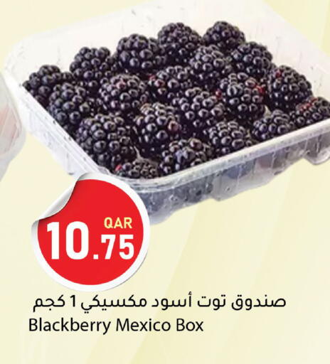 Blackberry from Mexico available at دانا ماركت in قطر - الوكرة