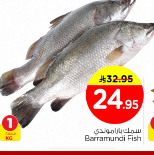 available at نستو in مملكة العربية السعودية, السعودية, سعودية - الخرج