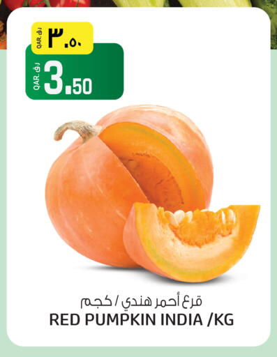 Pumpkin from India available at السعودية in قطر - الريان