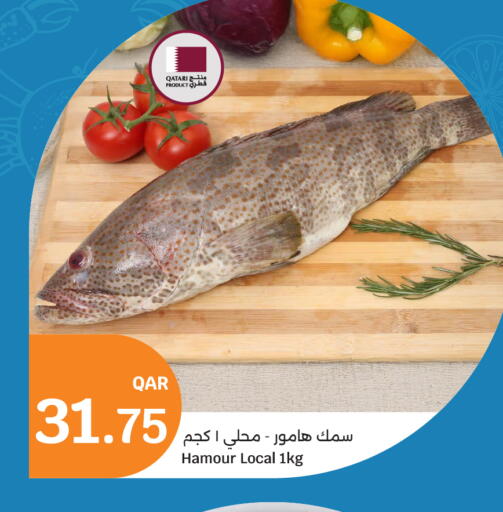 available at سيتي هايبرماركت in قطر - الدوحة