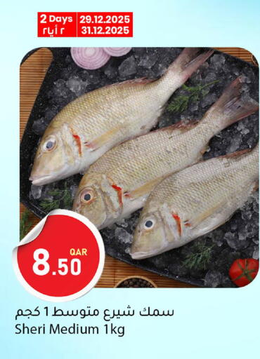 available at دانا ماركت in قطر - الدوحة