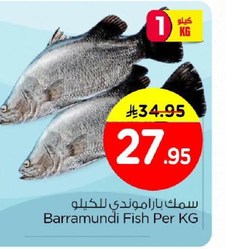 available at نستو in مملكة العربية السعودية, السعودية, سعودية - الأحساء‎