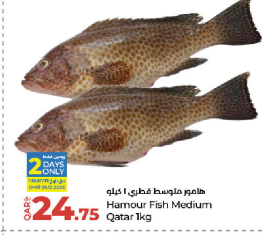 available at LuLu Hypermarket in Qatar - Doha