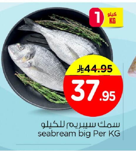 available at نستو in مملكة العربية السعودية, السعودية, سعودية - الأحساء‎