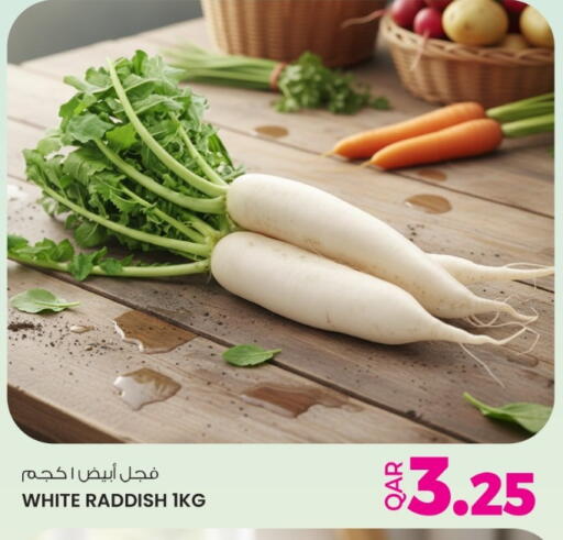 available at أنصار جاليري in قطر - الضعاين