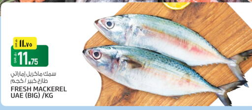 available at Saudia Hypermarket in Qatar - Al Khor