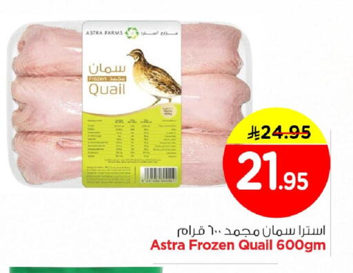 available at Nesto in KSA, Saudi Arabia, Saudi - Al Hasa