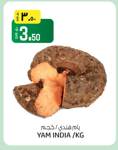 from India available at السعودية in قطر - الريان