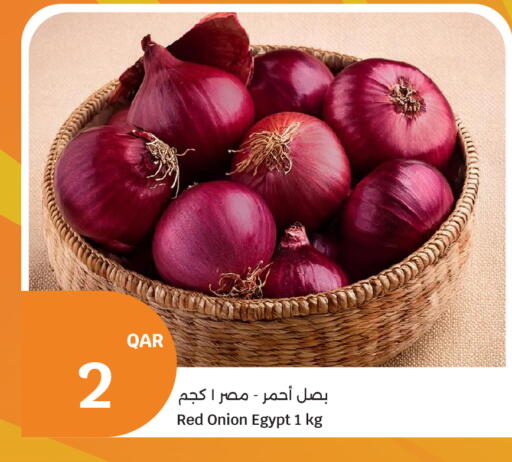 Onion from Egypt available at سيتي هايبرماركت in قطر - الشحانية