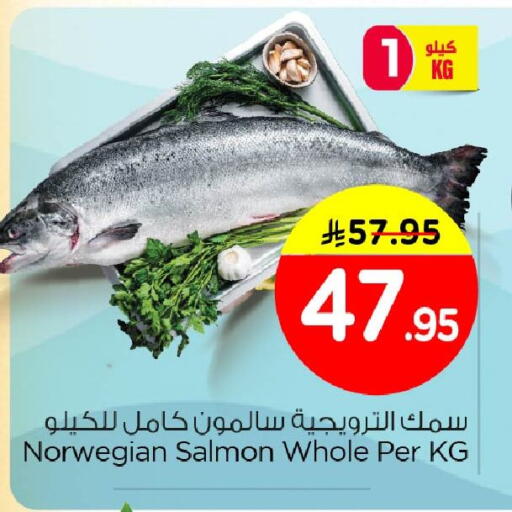 available at نستو in مملكة العربية السعودية, السعودية, سعودية - الأحساء‎