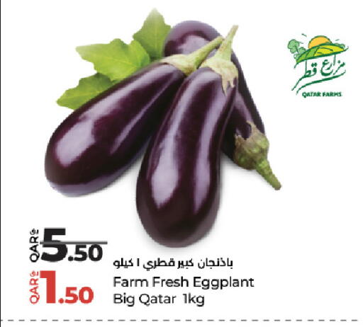 Eggplant from Qatar available at LuLu Hypermarket in Qatar - Al Wakra