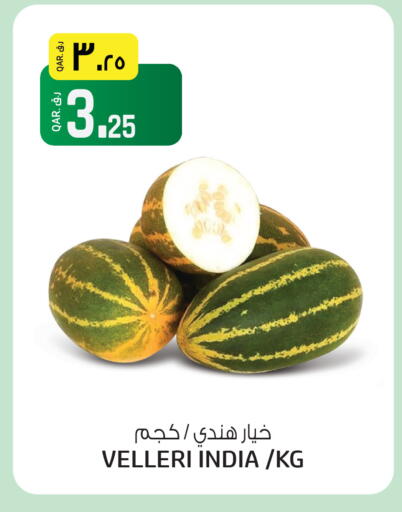 from India available at السعودية in قطر - الريان