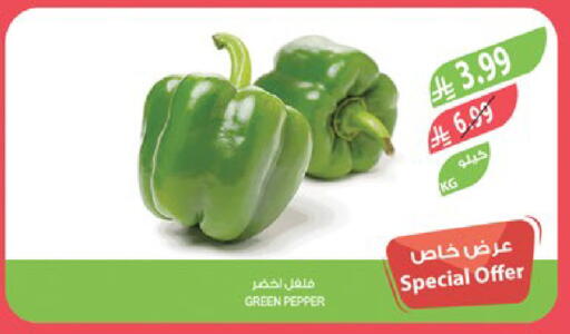 Pepper available at المزرعة in مملكة العربية السعودية, السعودية, سعودية - حفر الباطن