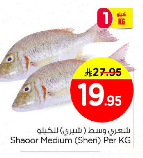 available at Nesto in KSA, Saudi Arabia, Saudi - Dammam