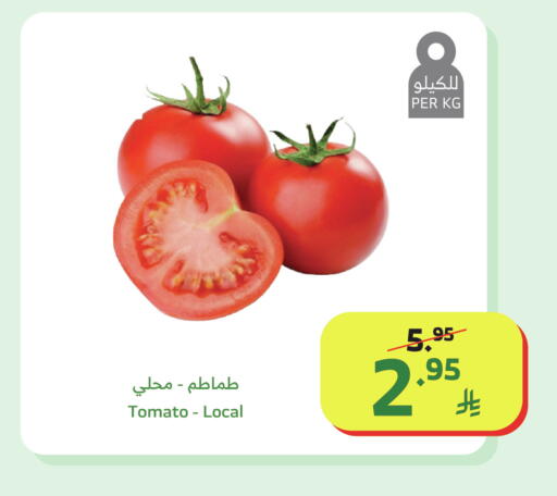 Tomato available at الراية in مملكة العربية السعودية, السعودية, سعودية - خميس مشيط