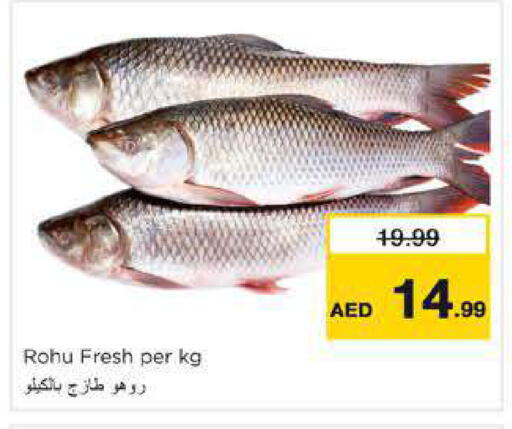 available at نستو هايبرماركت in الإمارات العربية المتحدة , الامارات - دبي