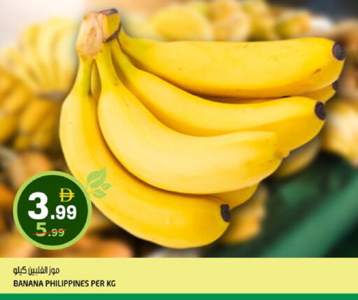 Banana from Philippines available at هاشم هايبرماركت in الإمارات العربية المتحدة , الامارات - الشارقة / عجمان