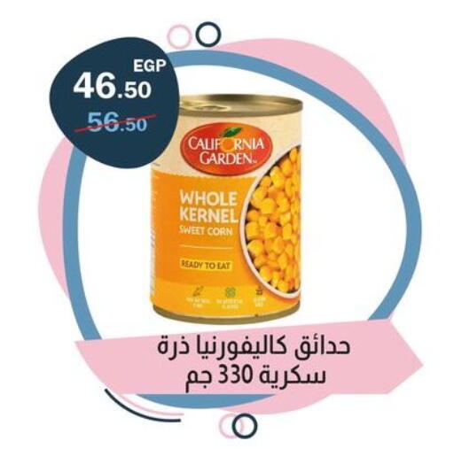 available at Flamingo Hyper Market in Egypt - Cairo