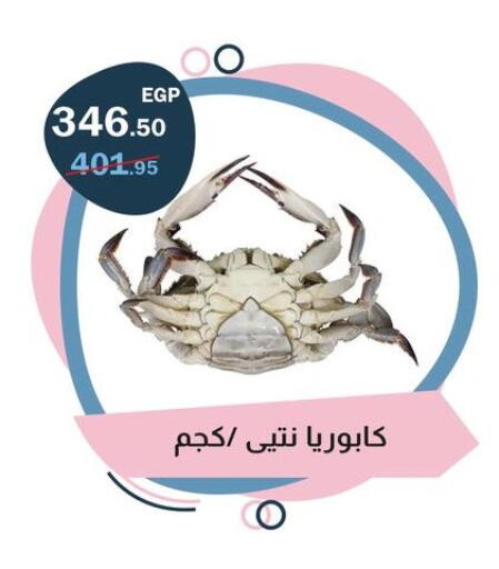 available at فلامنجو هايبرماركت in Egypt - القاهرة