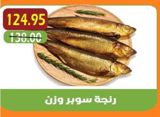 available at أسواق أولاد حسان in Egypt - القاهرة