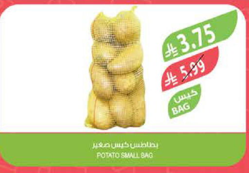 Potato available at المزرعة in مملكة العربية السعودية, السعودية, سعودية - نجران