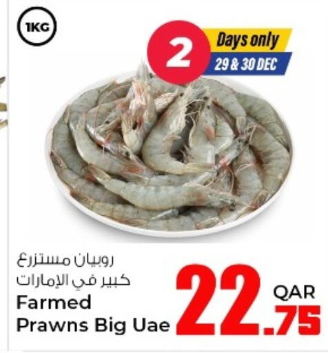 available at روابي هايبرماركت in قطر - الريان